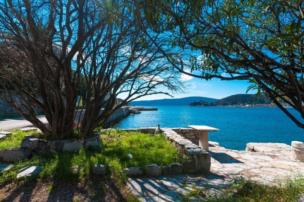 Apartmani Vesna Tivat Bagian luar foto