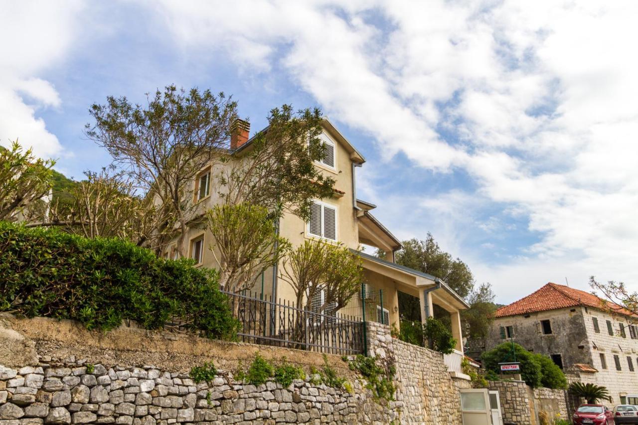 Apartmani Vesna Tivat Bagian luar foto