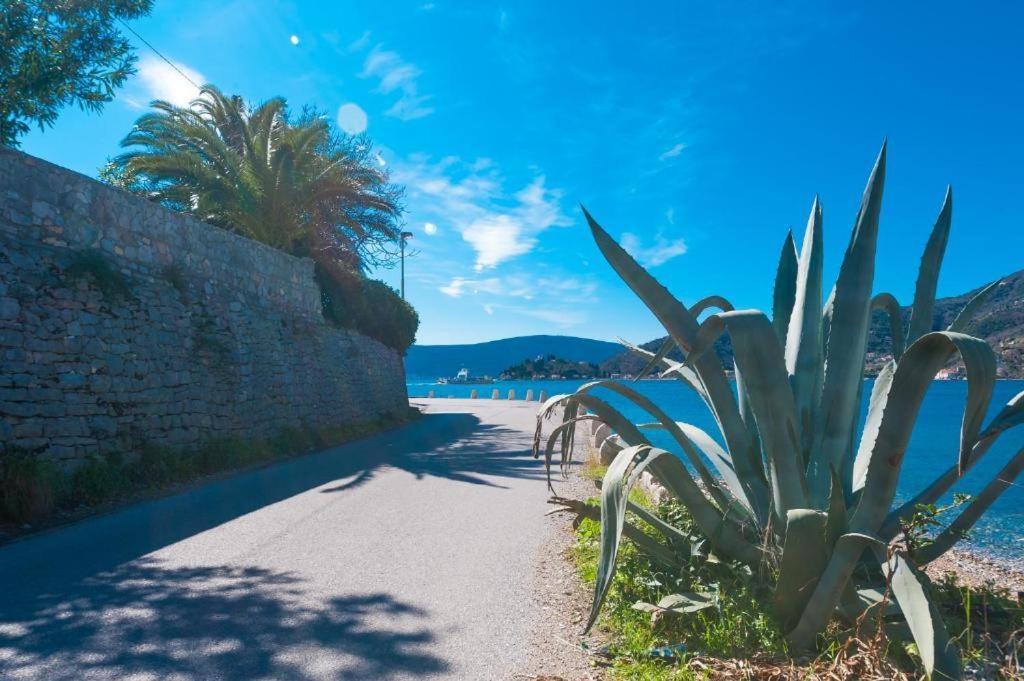 Apartmani Vesna Tivat Bagian luar foto
